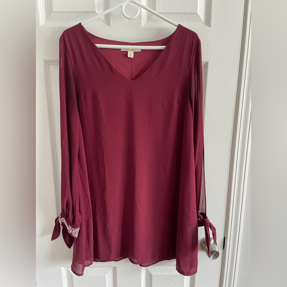 Francesca’s Miami Burgundy Dress with Shear Sleeves